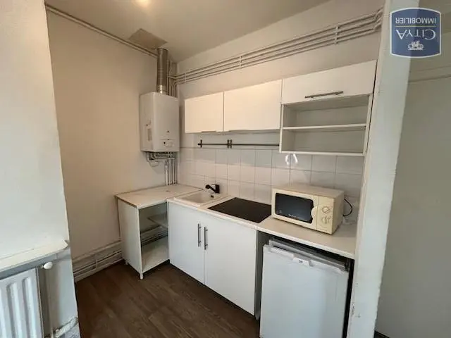 Photo 2 appartement Villeurbanne