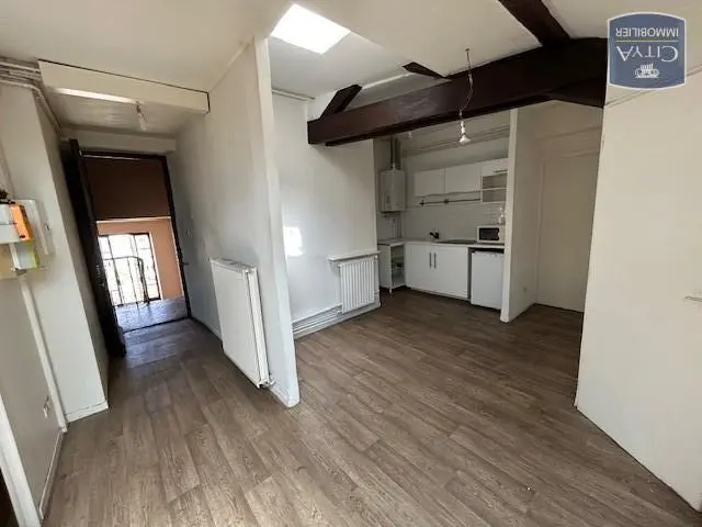 Photo 1 appartement Villeurbanne