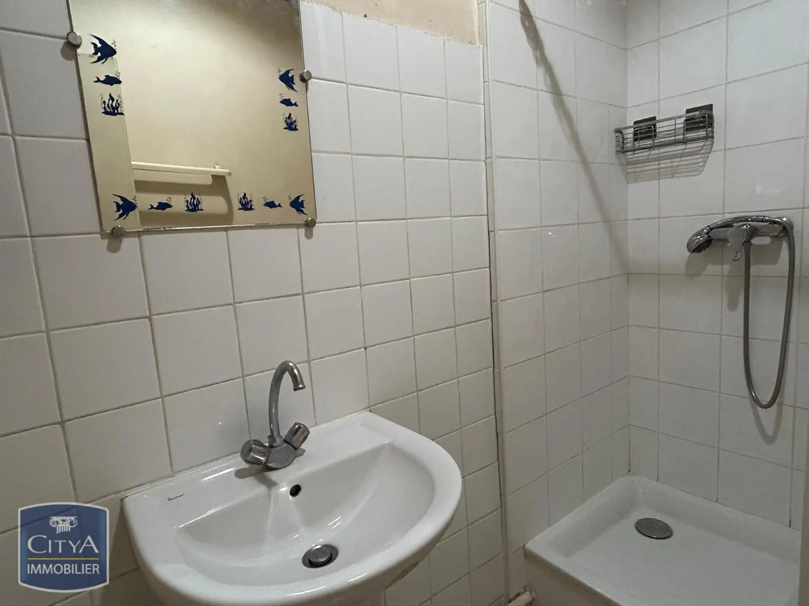 Photo 2 appartement Lyon 1er Arrondissement