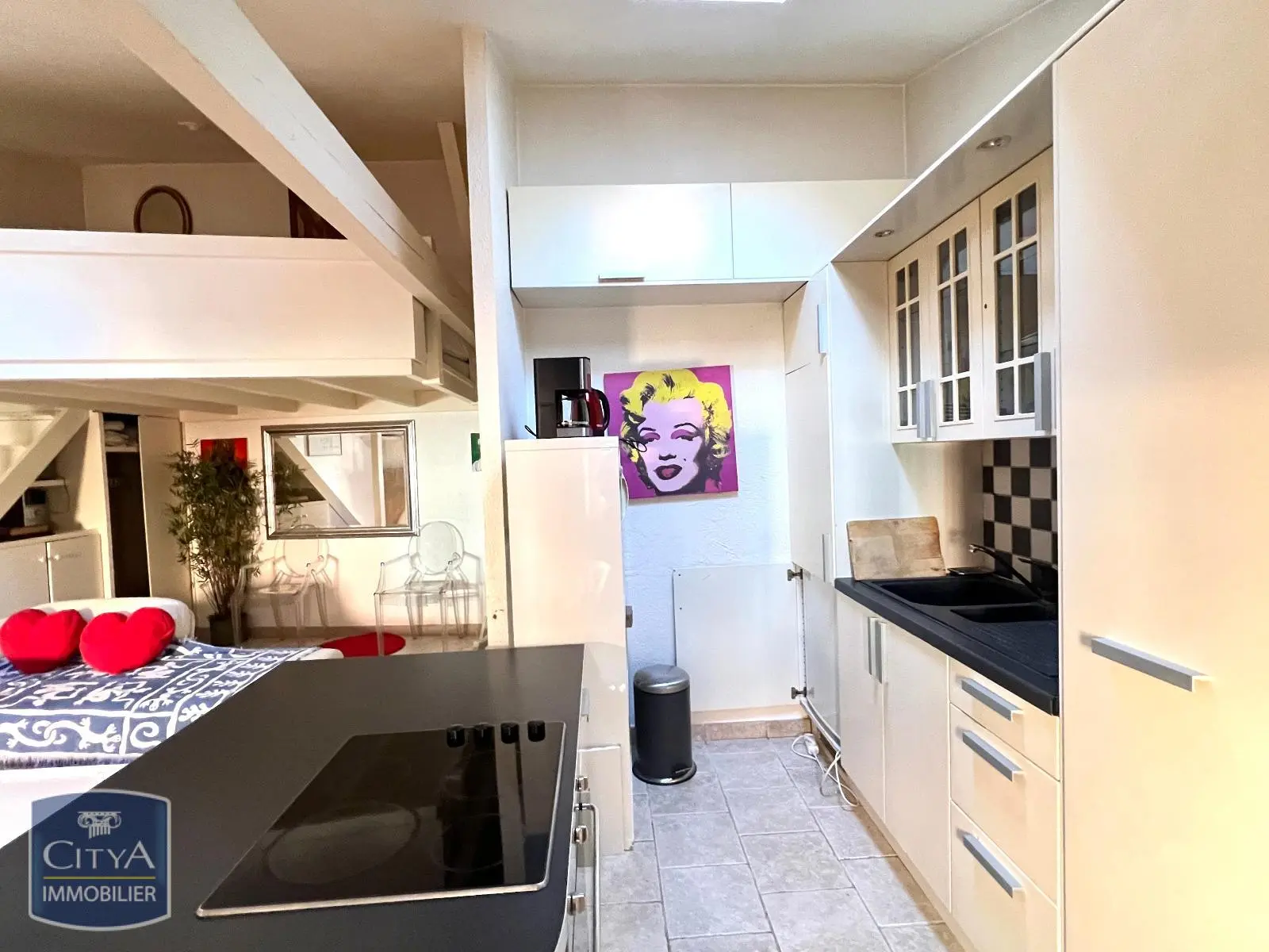 Photo 1 appartement Lyon 5e Arrondissement