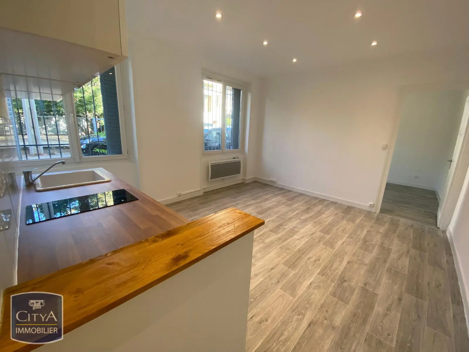 Photo 1 appartement Lyon 8e Arrondissement