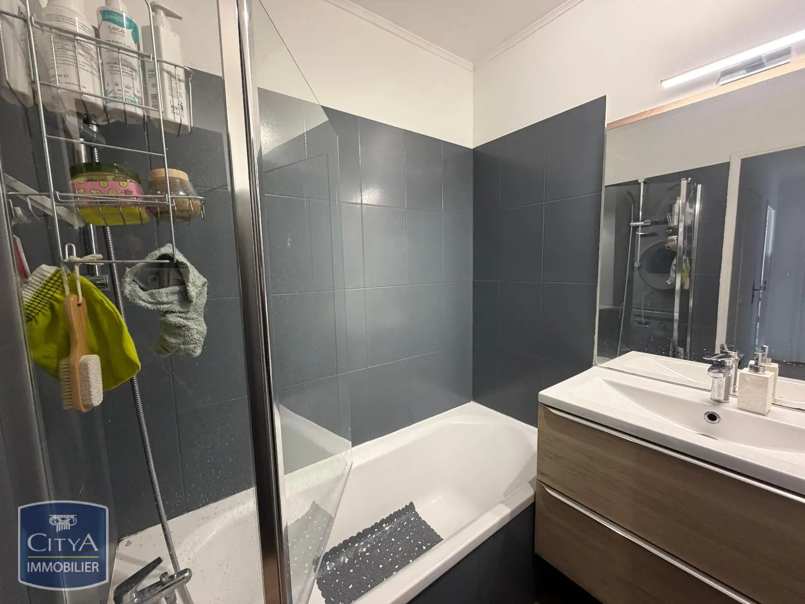 Photo 6 appartement Lyon 9e Arrondissement