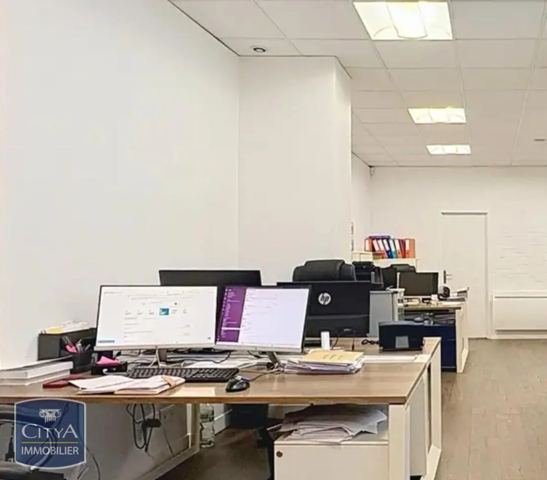 Photo 6 Local Professionnel