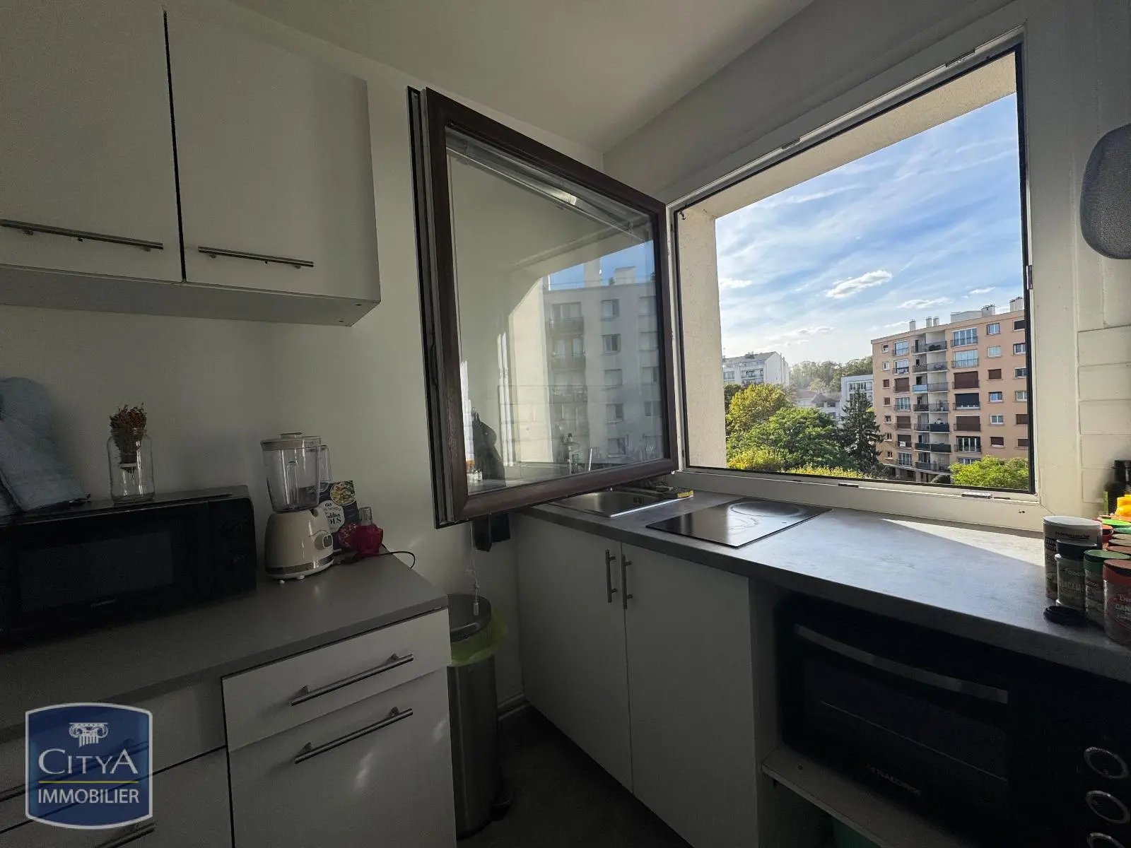 Photo 3 appartement Nogent-sur-Marne