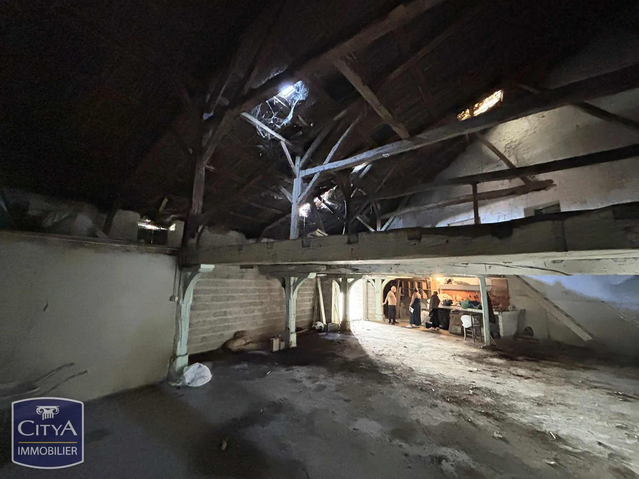 Photo 14 Local Commercial 350m²