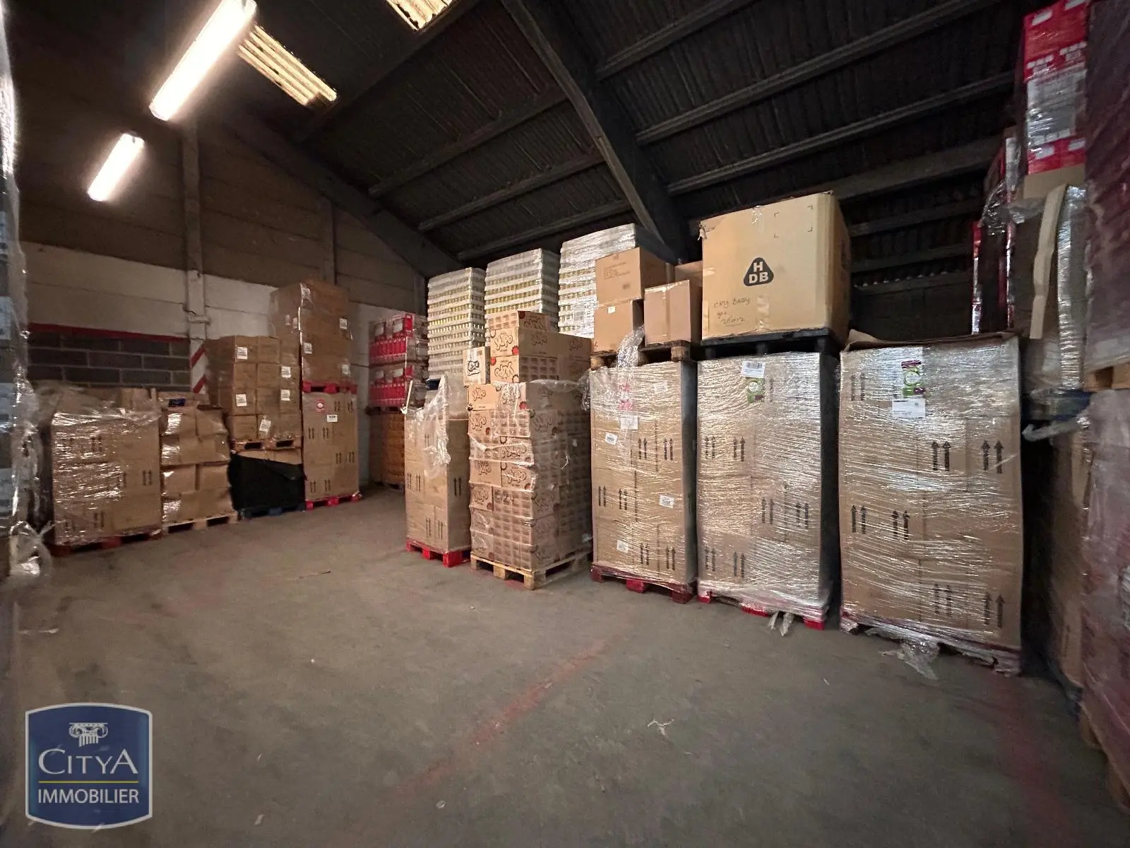 Photo 6 Local Commercial 300m²