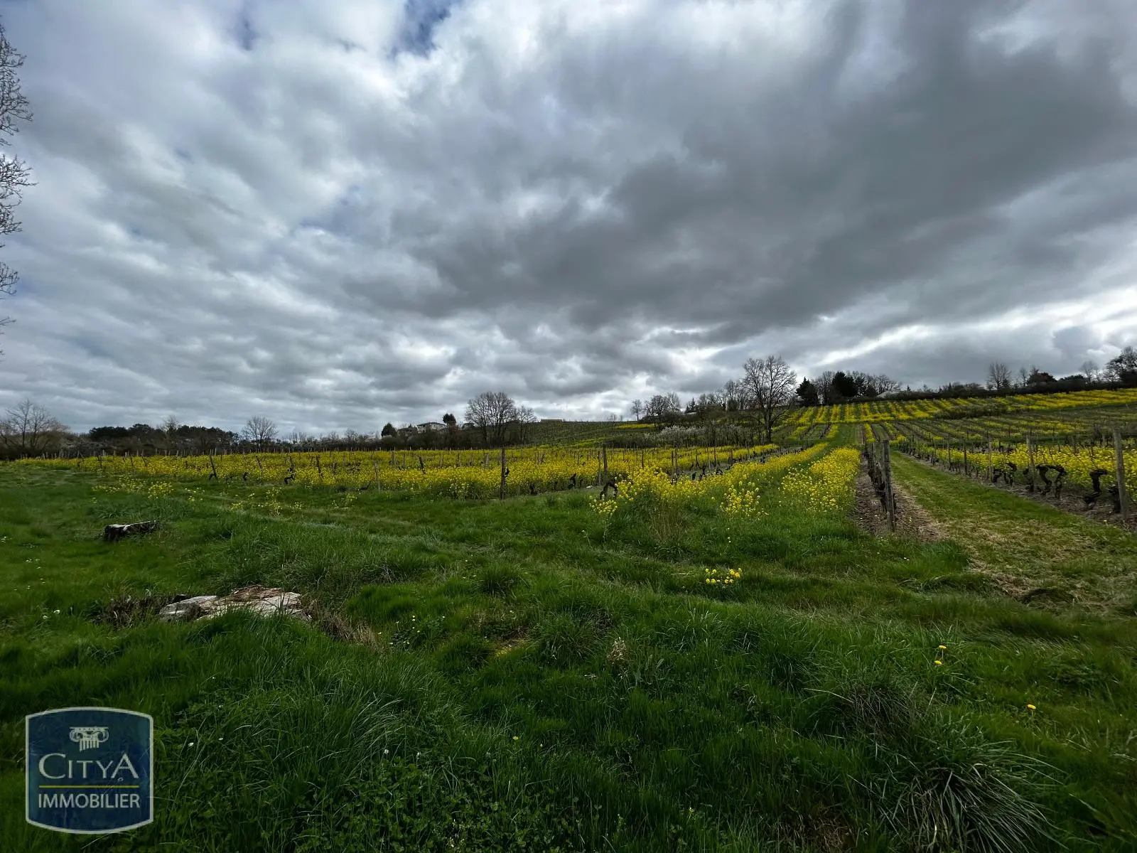 Photo 3 Maison 5 pièces 115m²