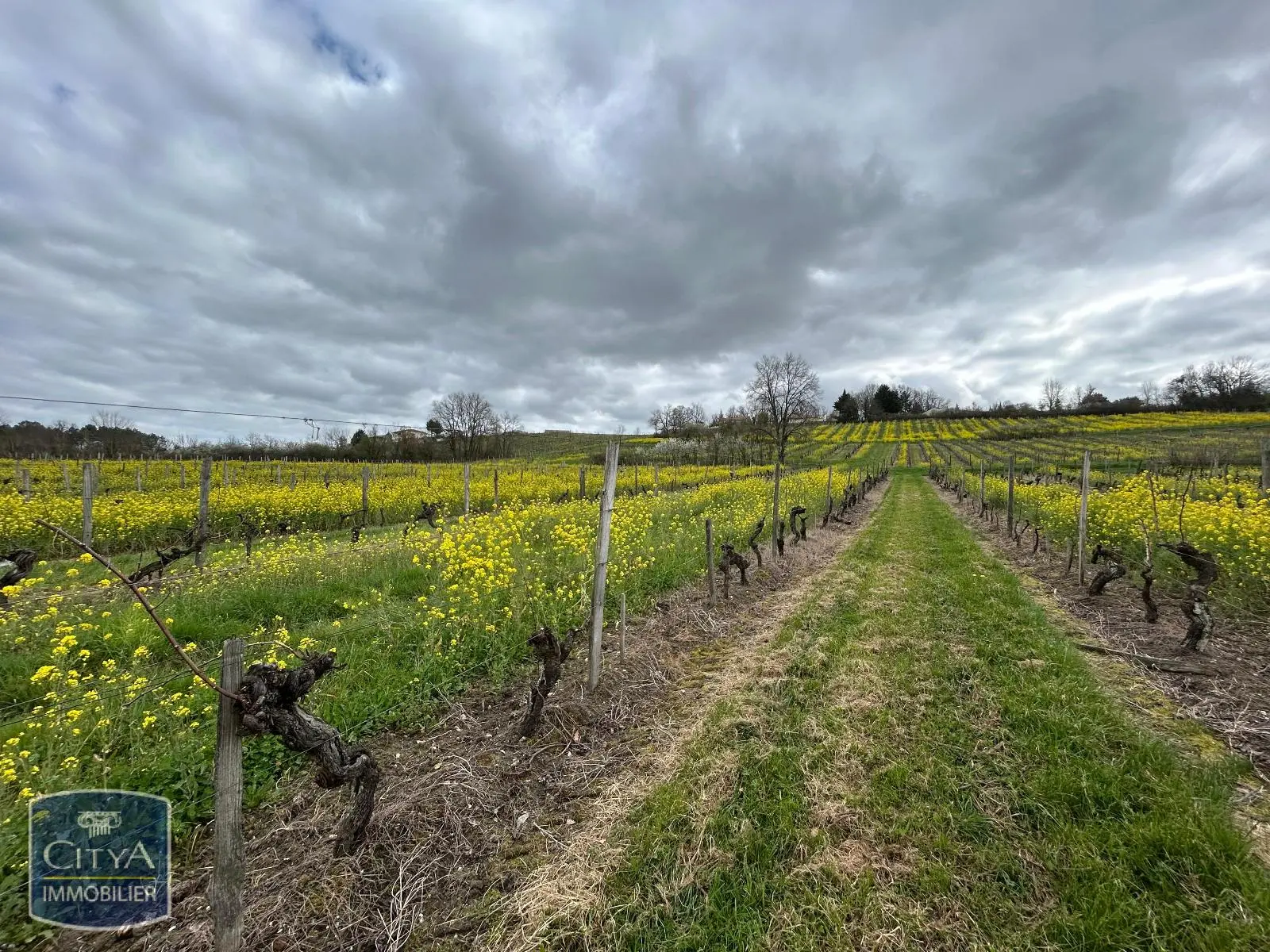 Photo 4 Maison 5 pièces 115m²