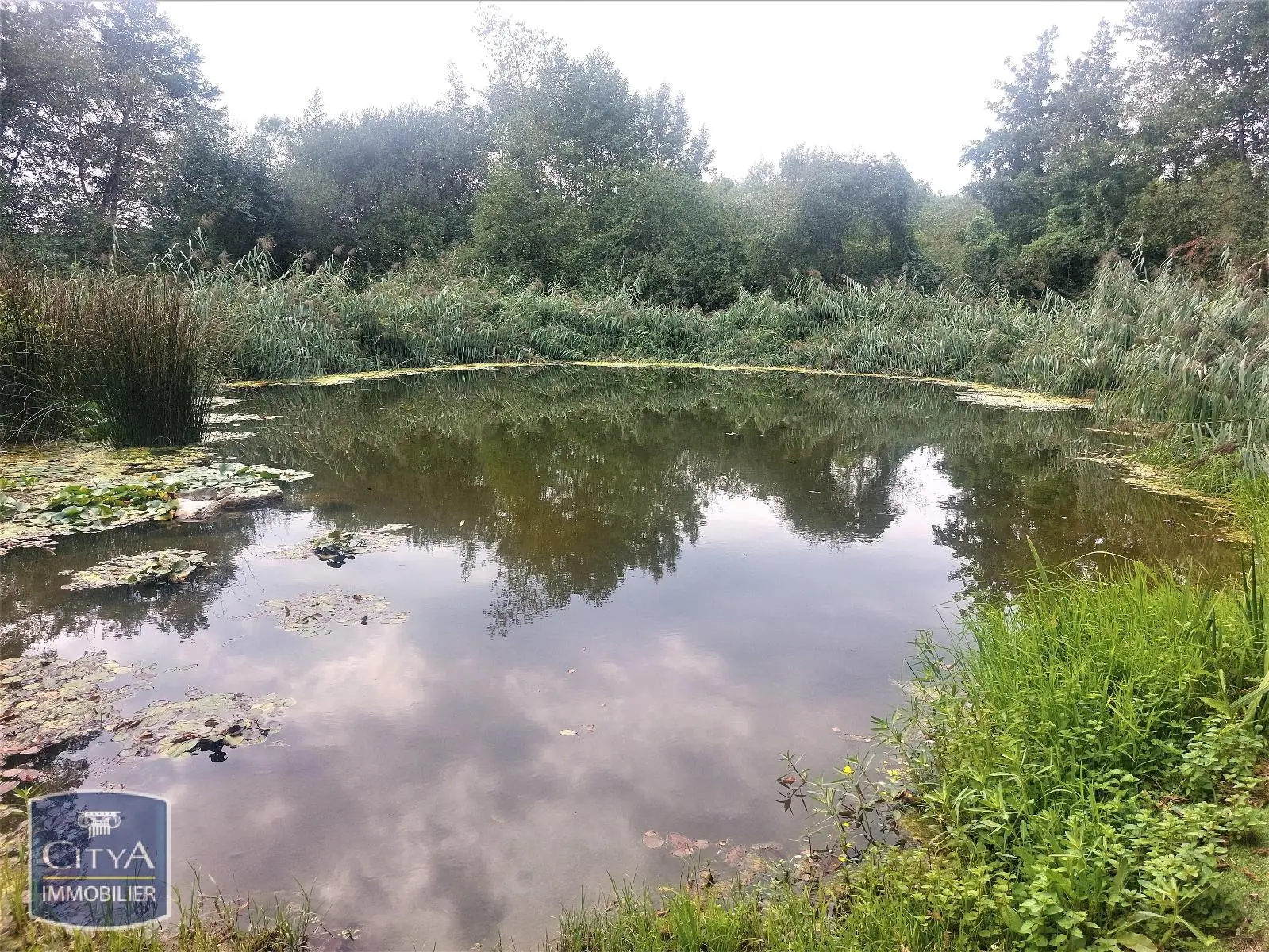 Photo 3 Terrain 130000m²