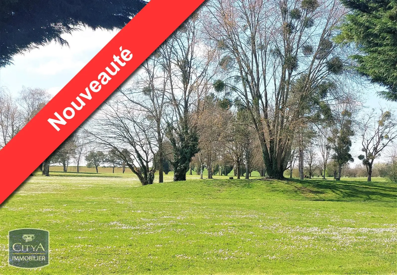 Photo 1 Terrain 1010m²