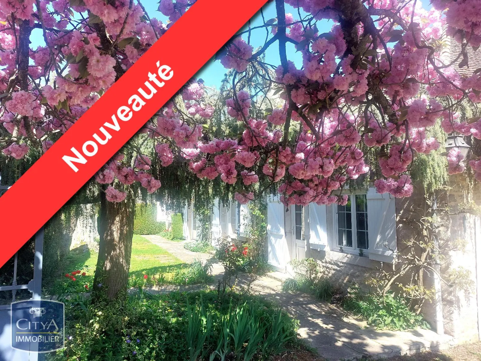 Photo 1 Maison 8 pièces 220m²