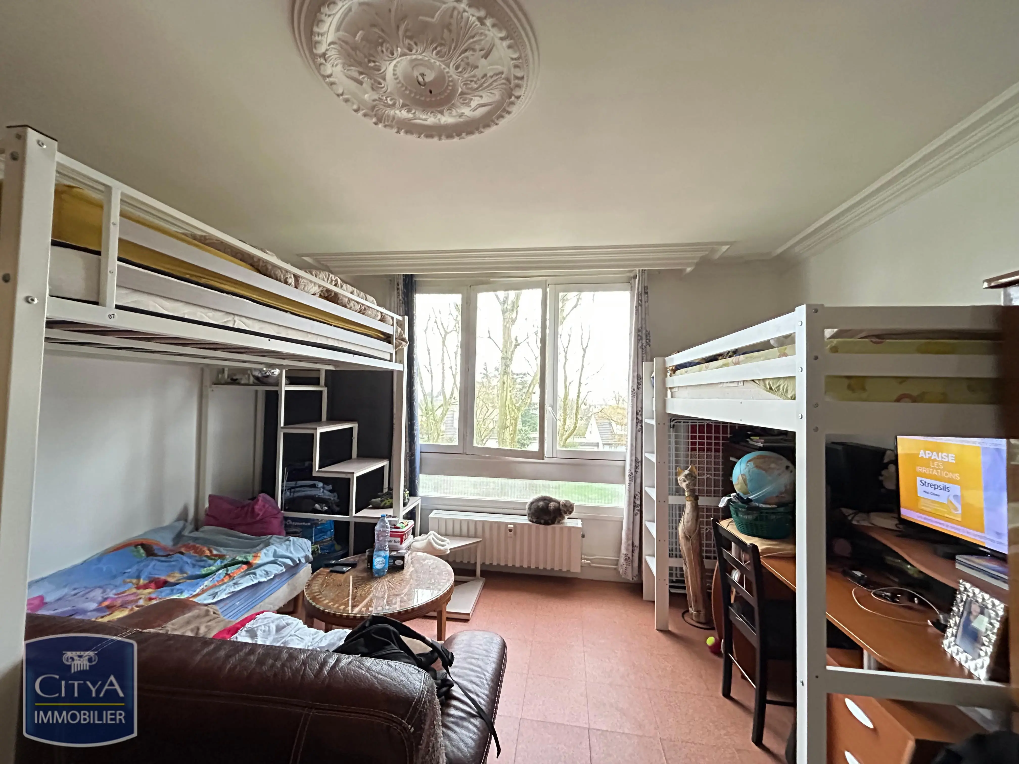 Photo 1 Appartement 1 pièce 29.98m²