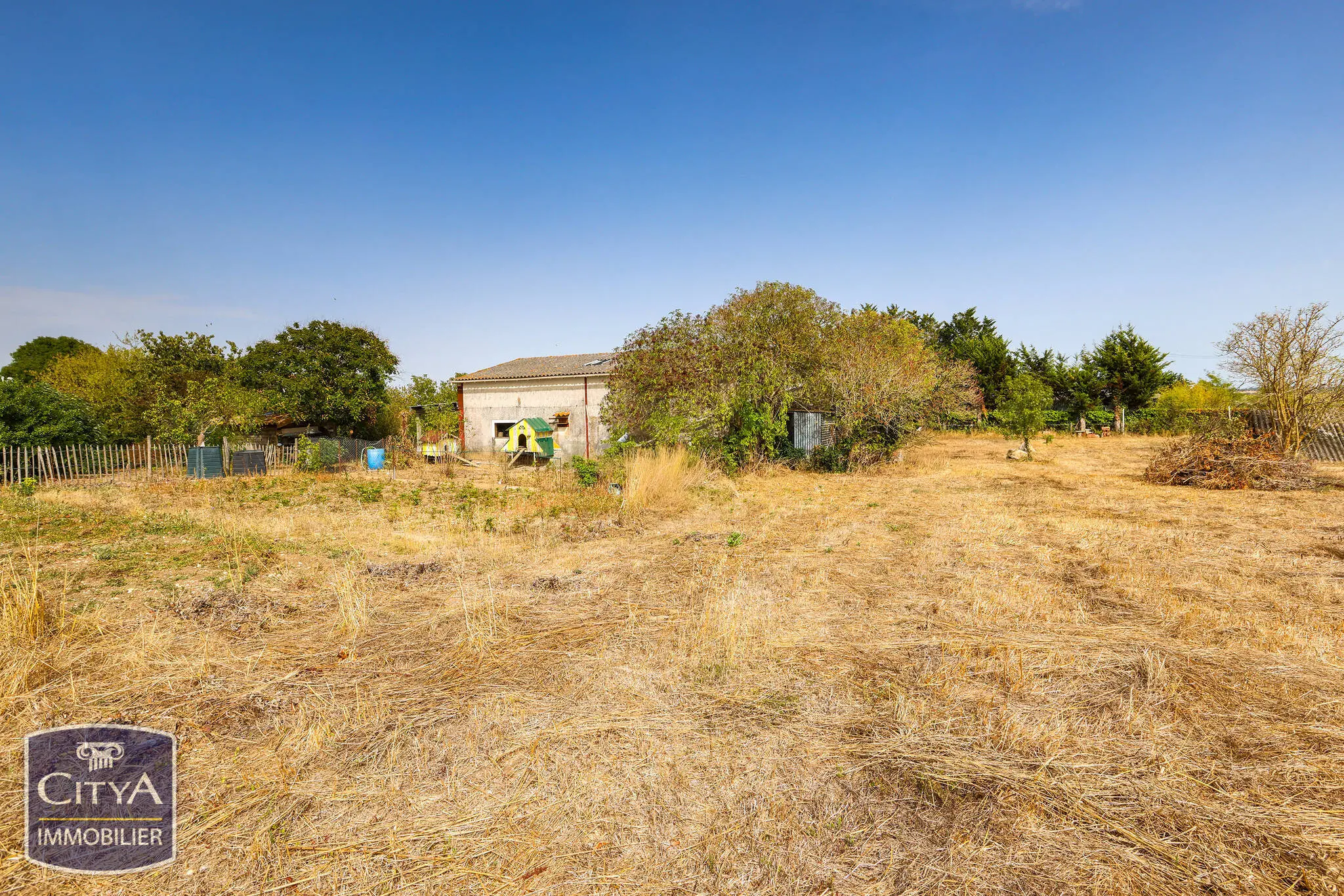 Photo 1 Terrain