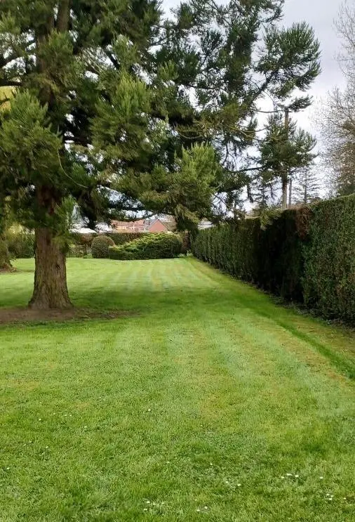 Photo 4 Terrain 2600m²