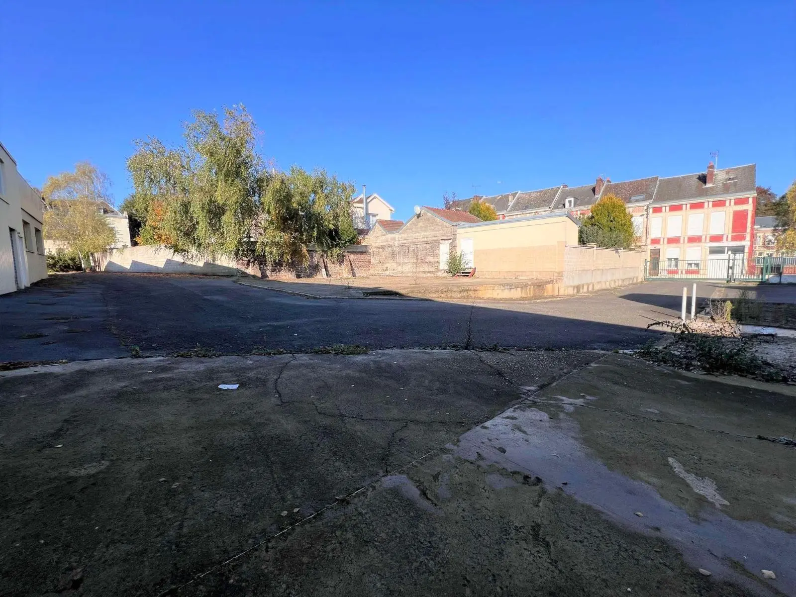 Photo 10 Local Professionnel