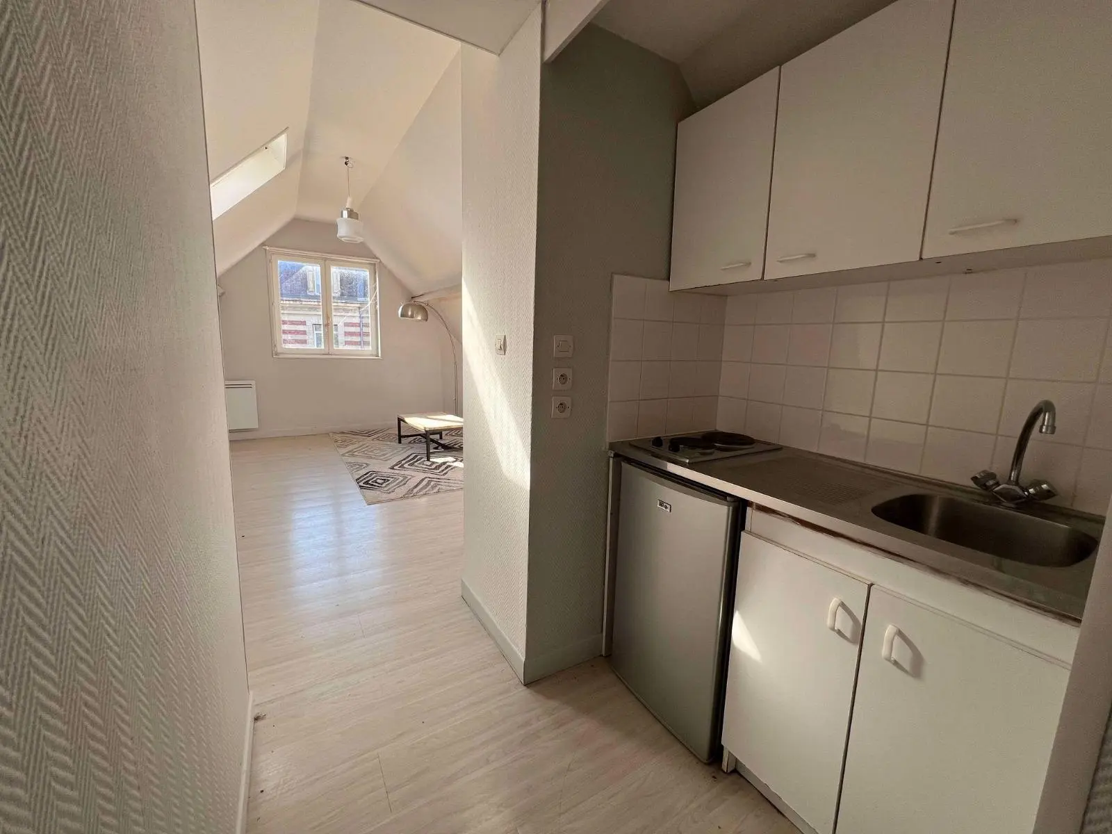 Photo 17 Local Professionnel