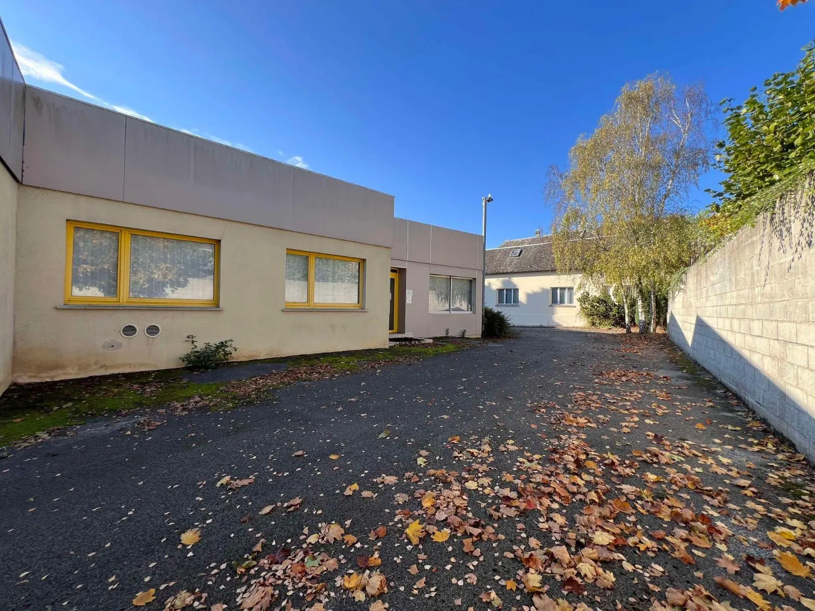 Photo 1 Local Professionnel