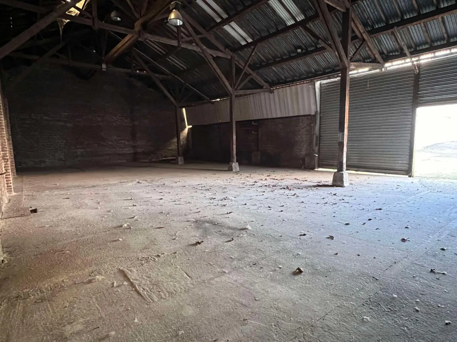 Photo 14 Local Professionnel