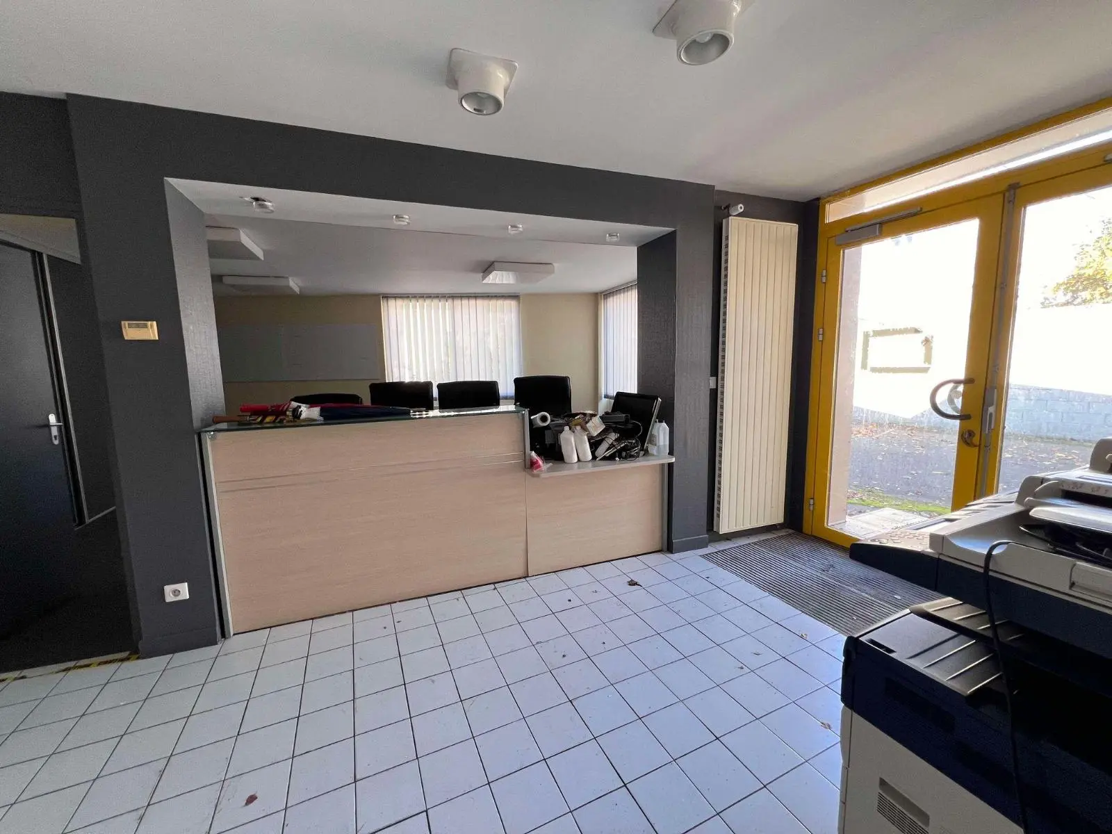 Photo 9 Local Professionnel