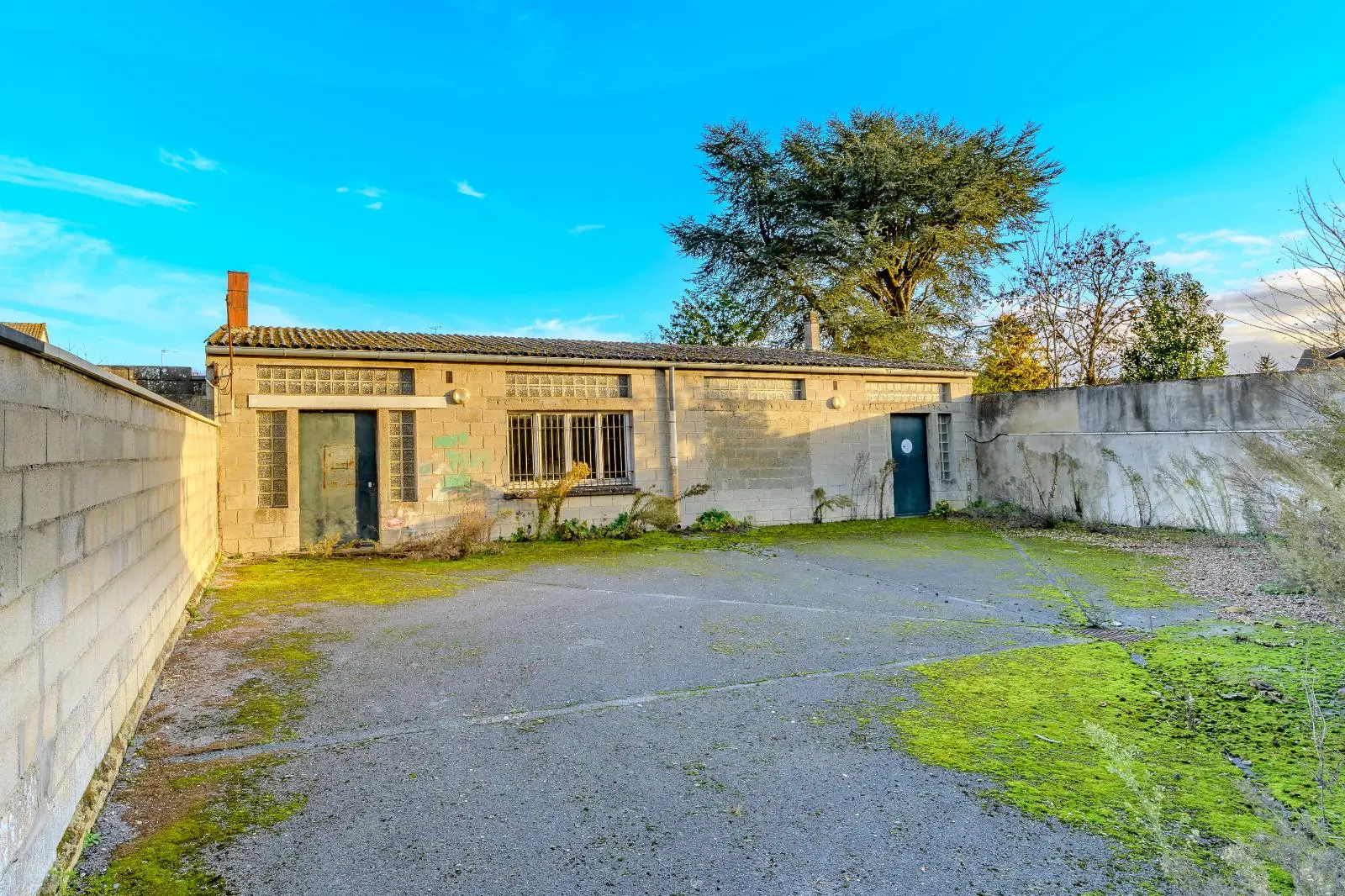 Photo 2 Local Professionnel 5 pièces 475m²