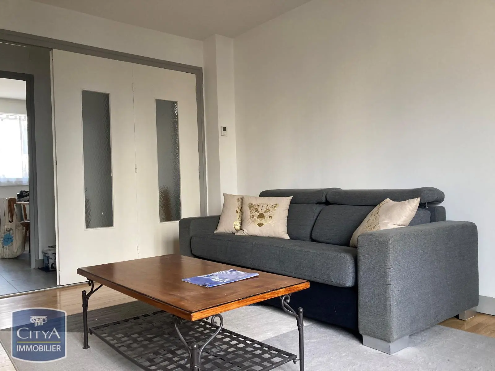 Photo 1 appartement Grenoble