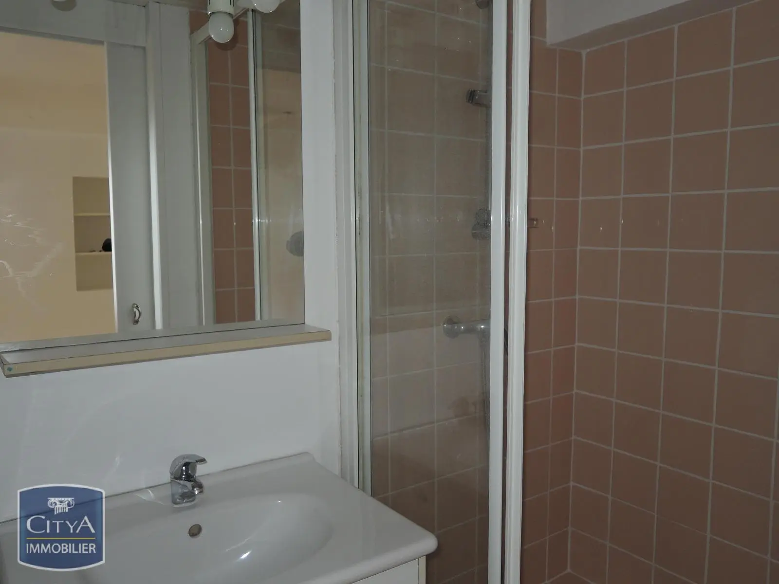 Photo 5 appartement Grenoble
