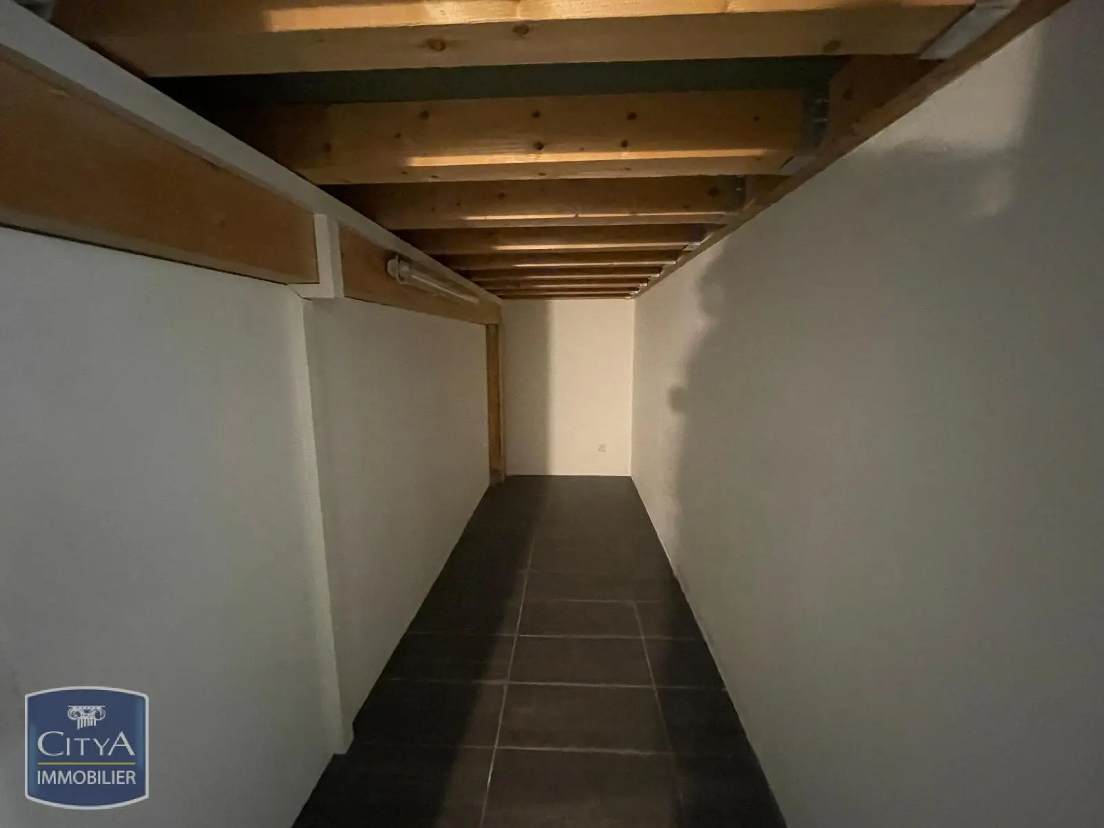 Photo 9 Local Professionnel