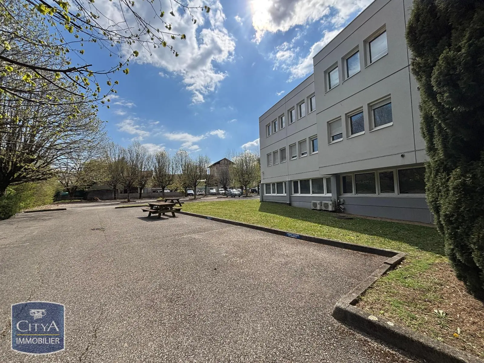 Photo 10 Local Professionnel