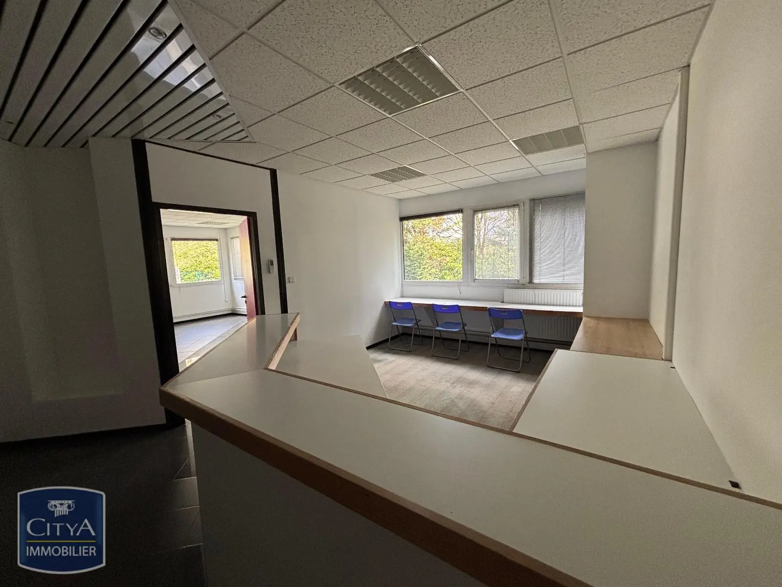 Photo 6 Local Professionnel