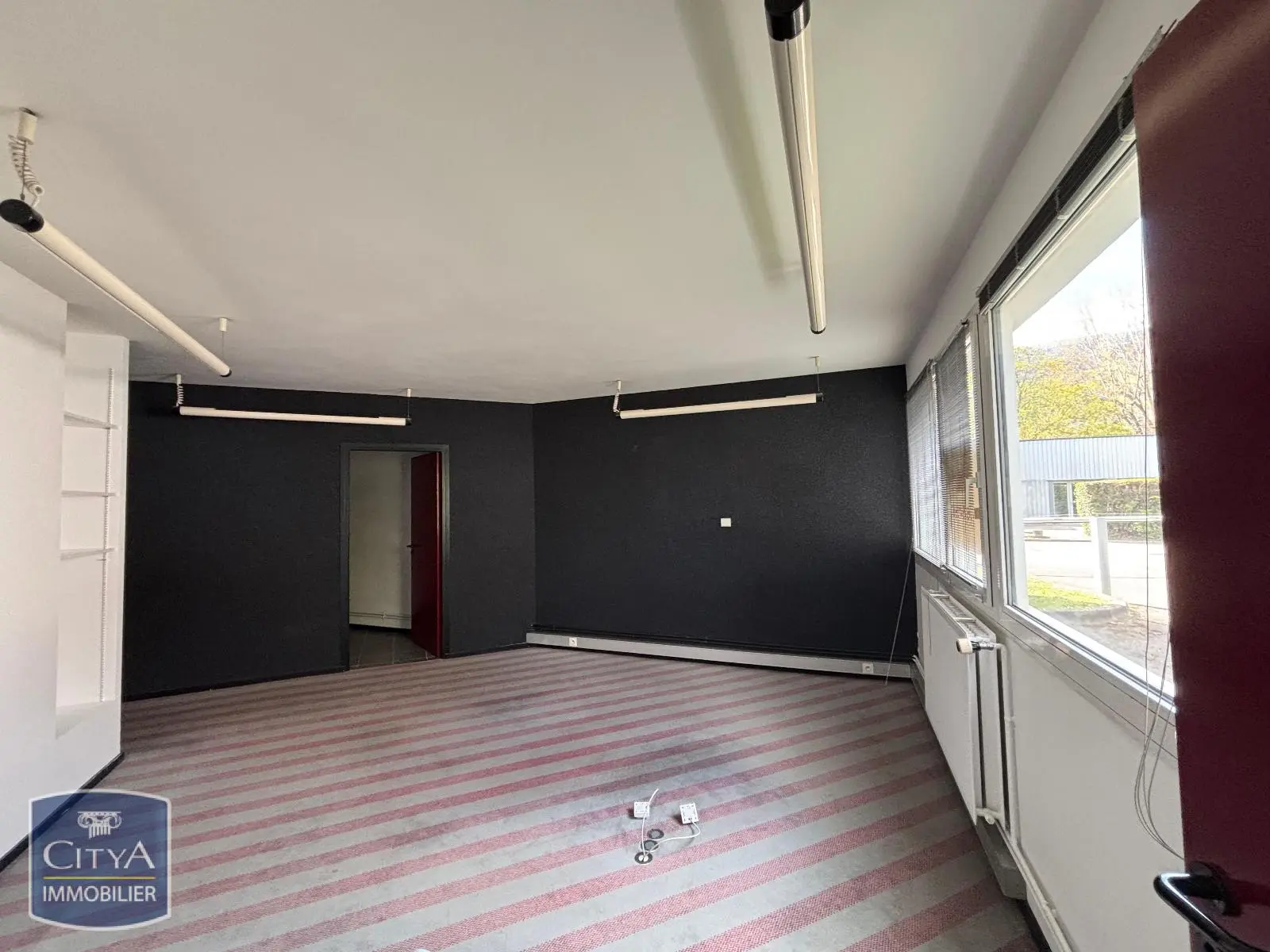 Photo 9 Local Professionnel