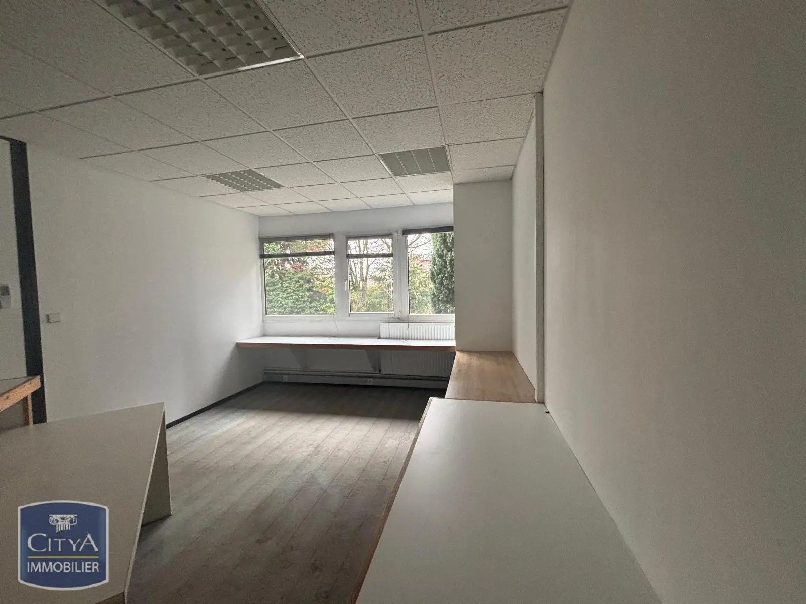 Photo 5 Local Professionnel