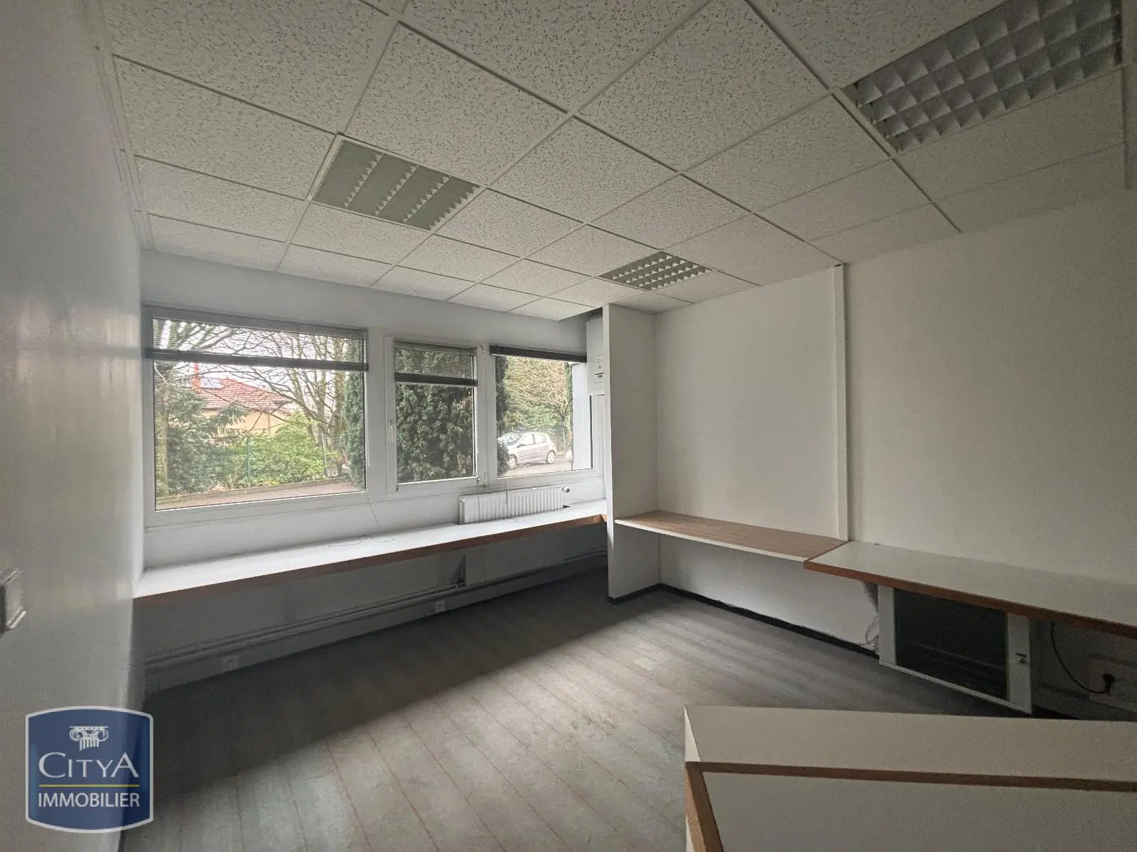 Photo 6 Local Professionnel