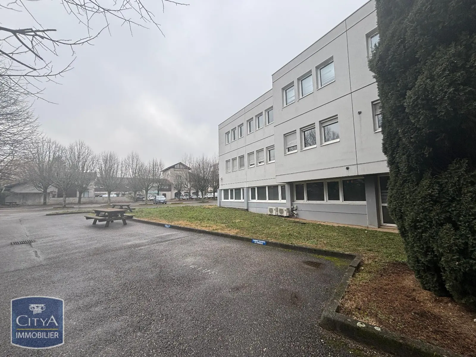 Photo 8 Local Professionnel