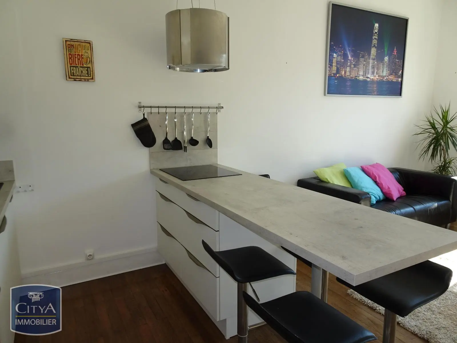 Photo 3 Appartement 1 pièce 42.47m²