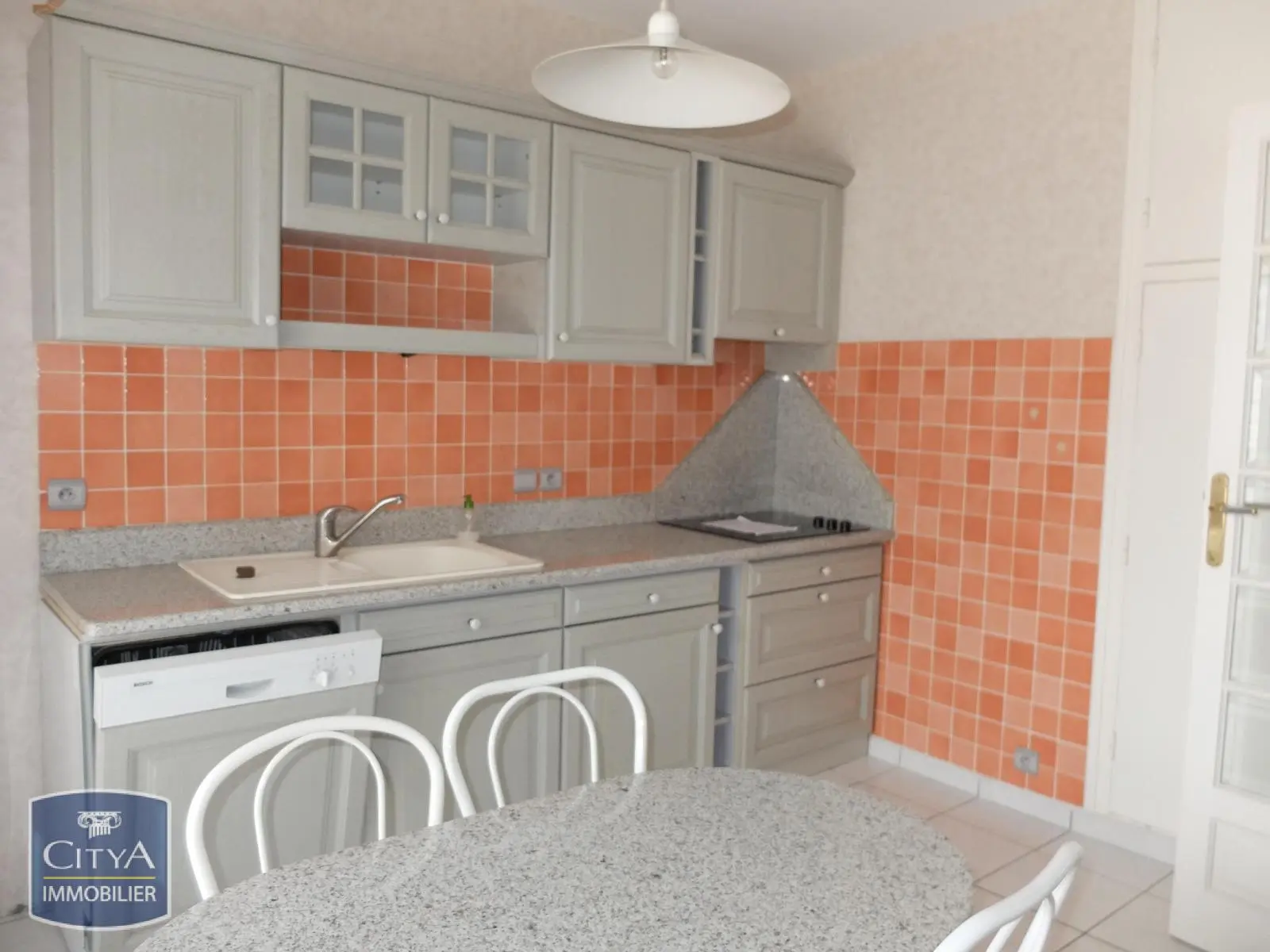 Photo 9 appartement Grenoble