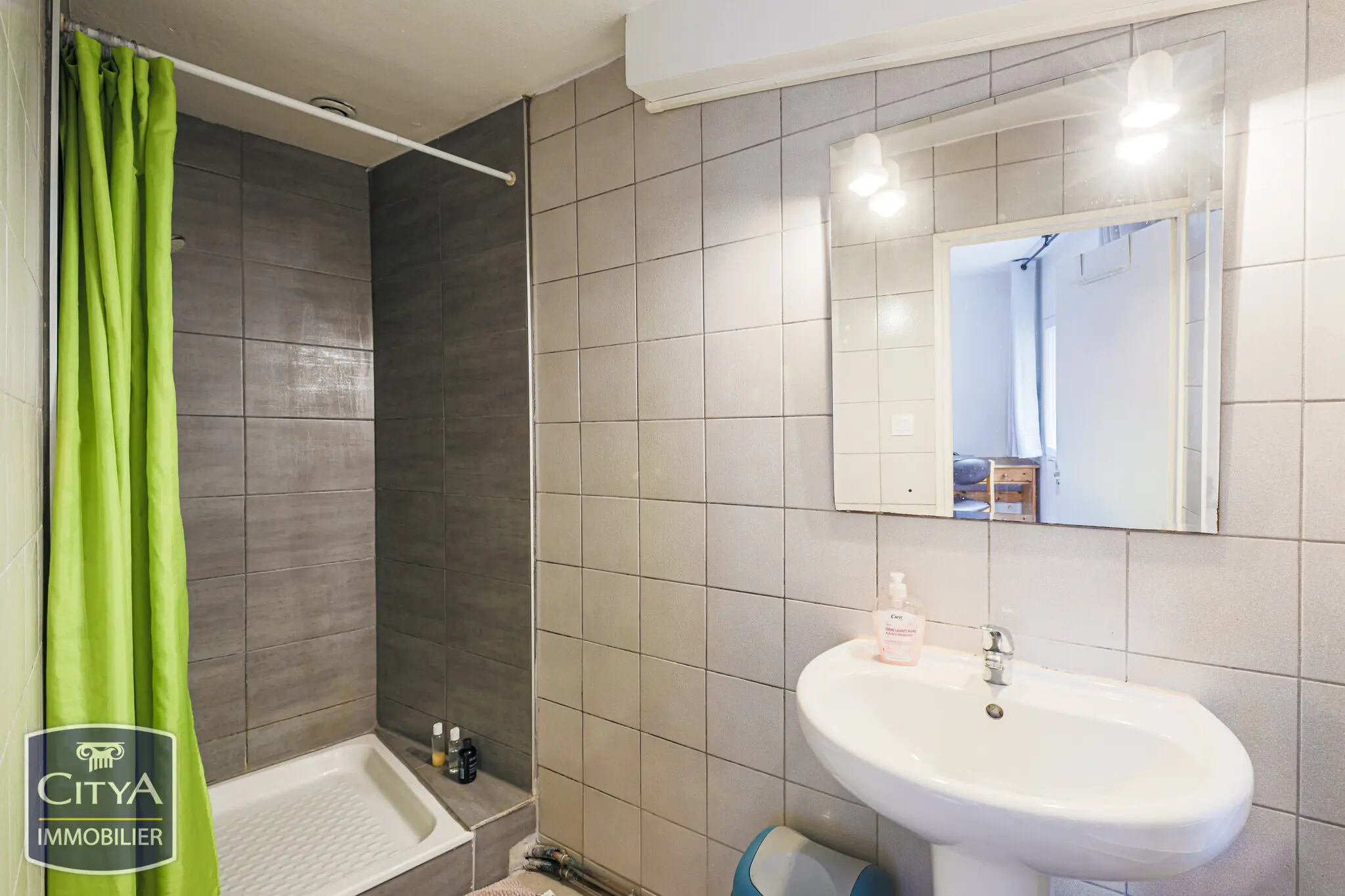 Photo 10 appartement Grenoble