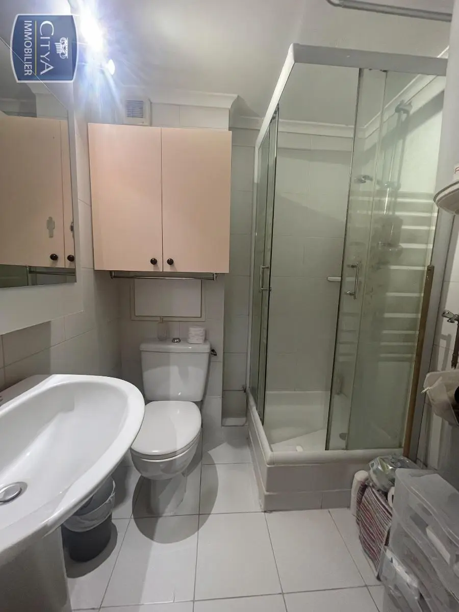 Photo 7 appartement Grenoble