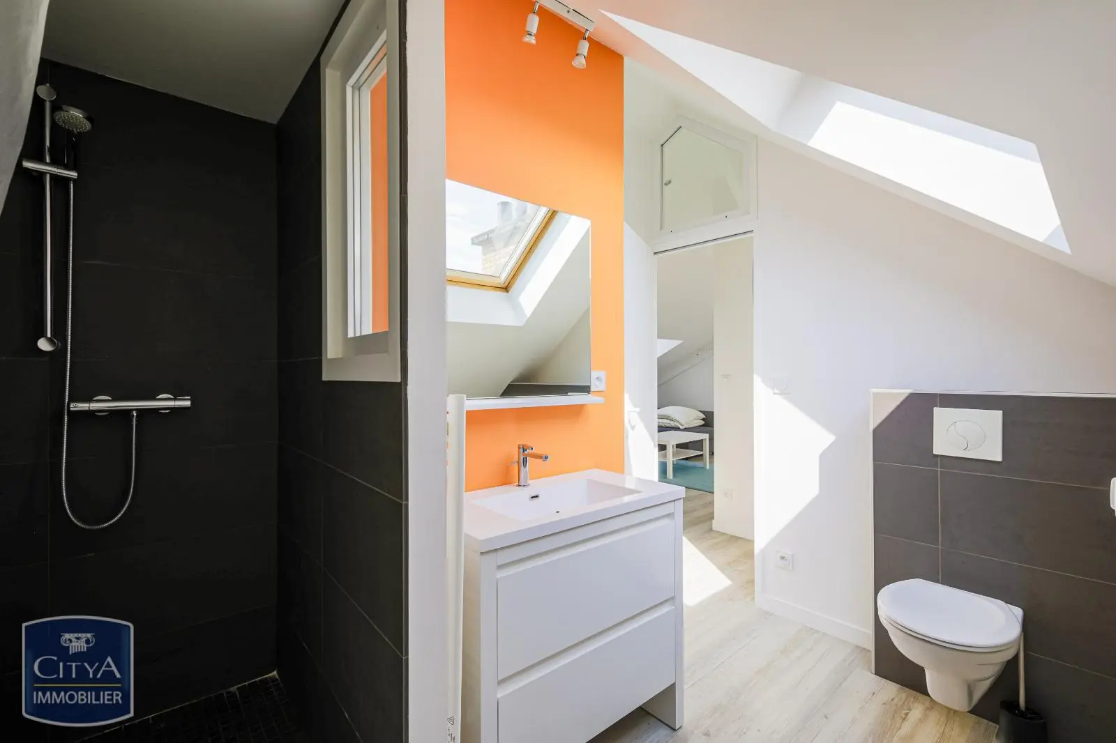 Photo 15 appartement Grenoble