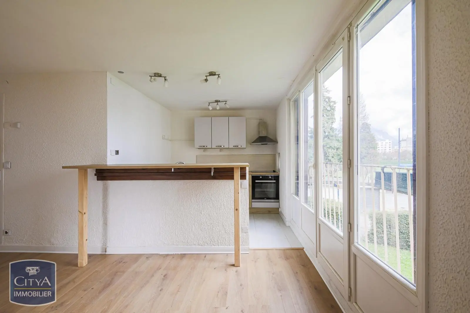 Photo 4 appartement Grenoble