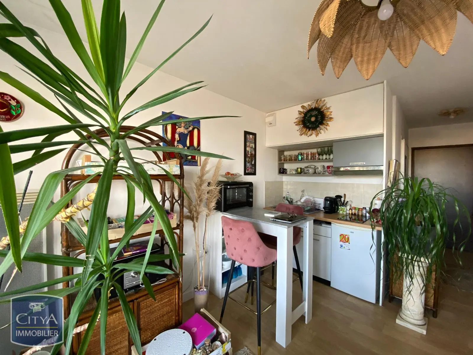 Photo 1 Appartement 1 pièce 24.16m²
