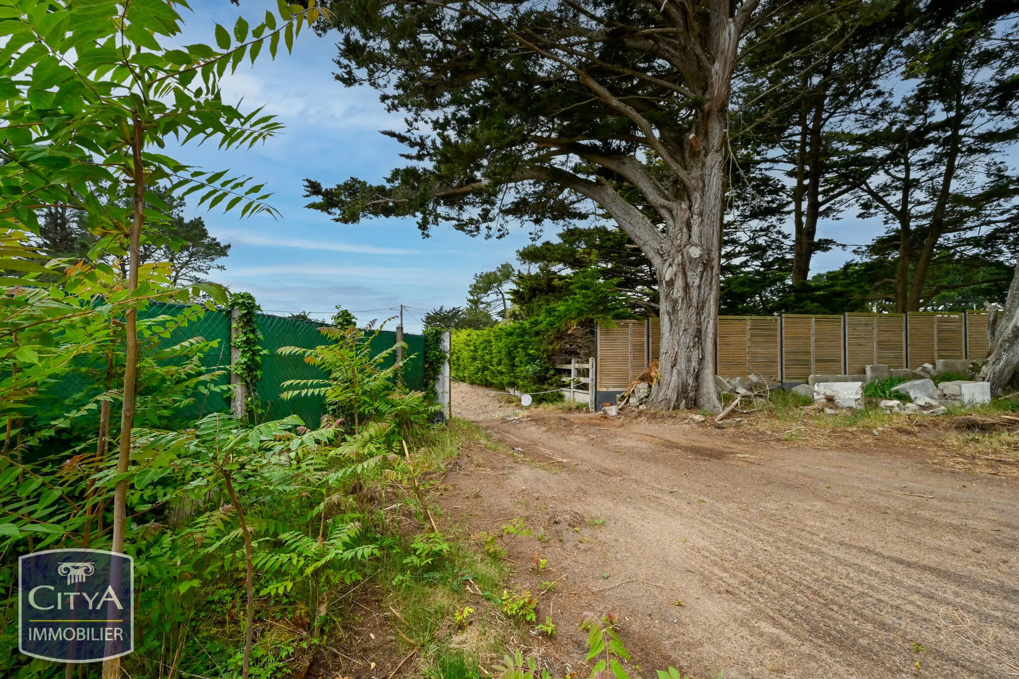 Photo 5 Terrain