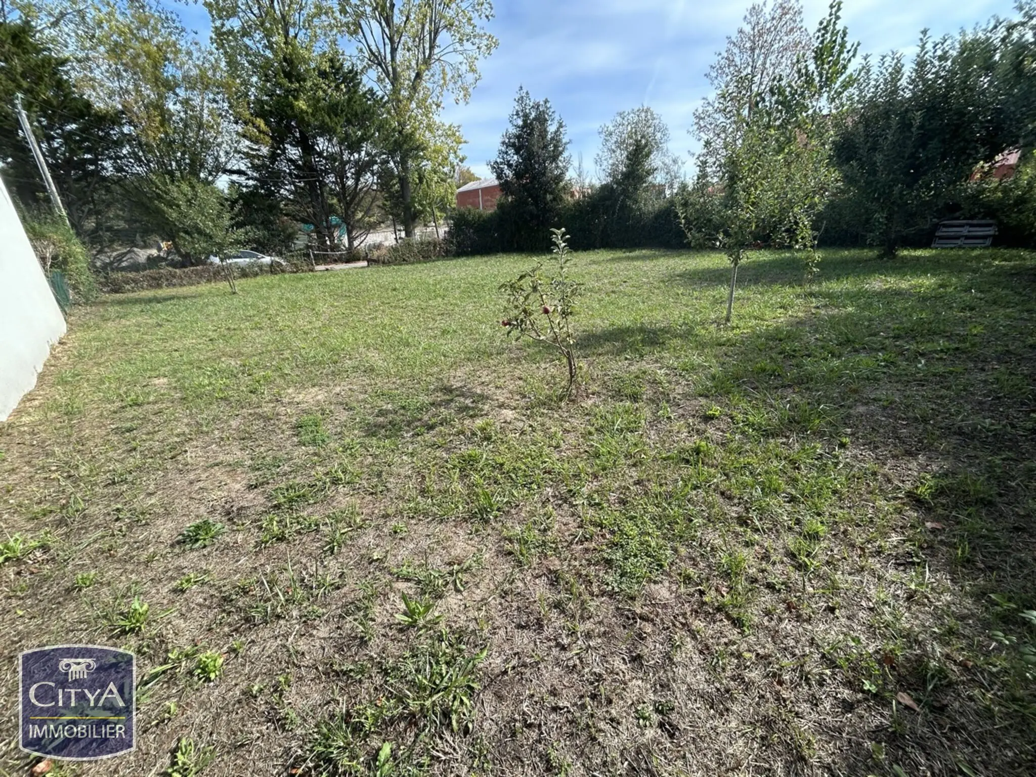 Photo 1 Terrain