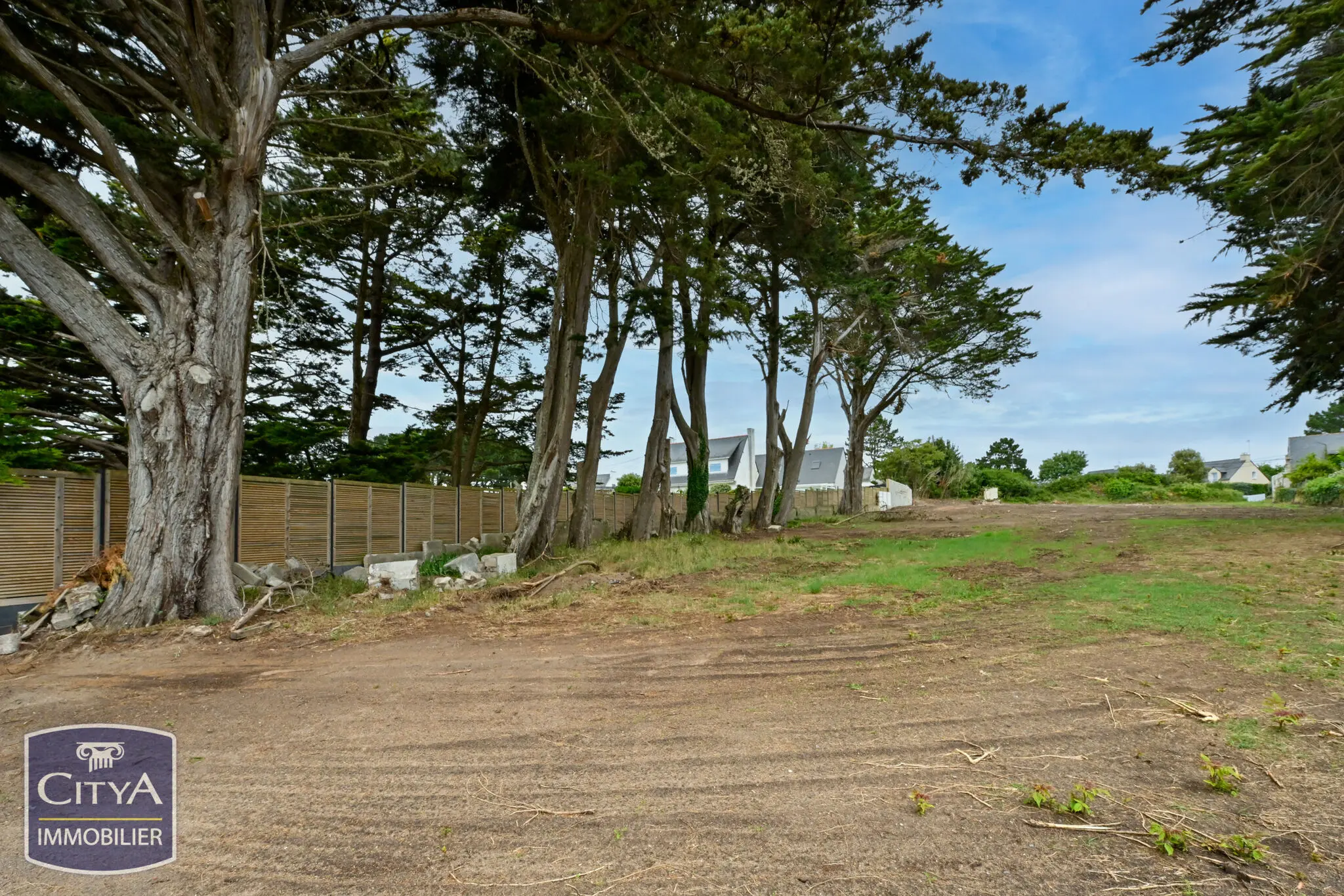 Photo 2 Terrain