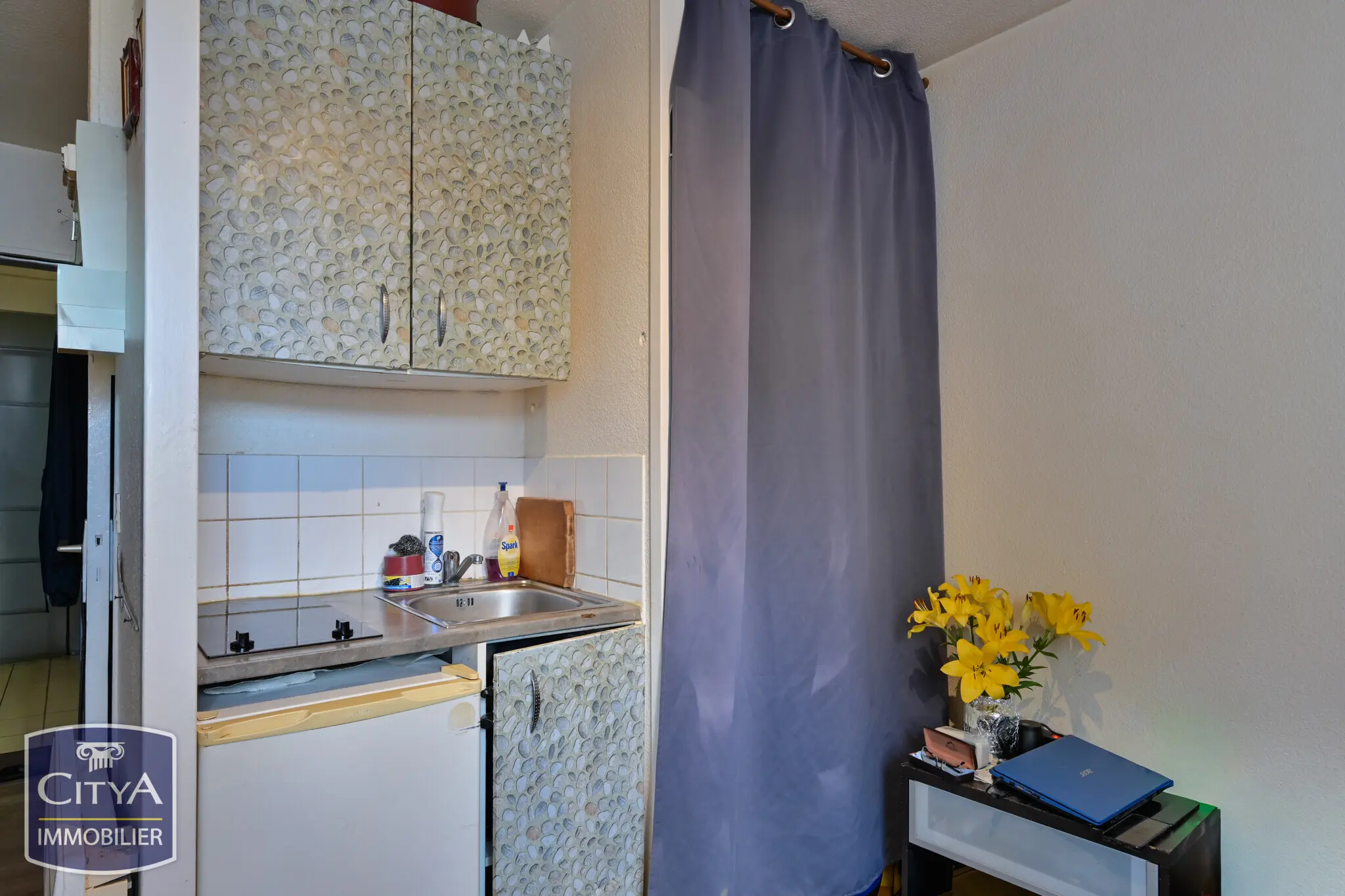 Photo 2 Appartement 1 pièce 15m²