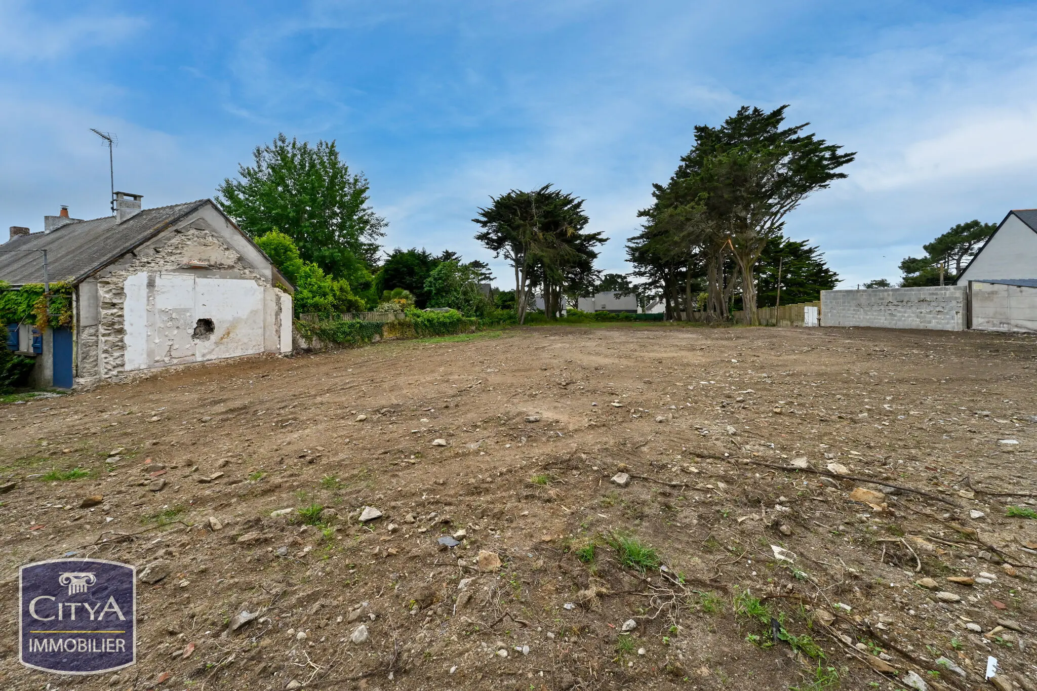 Photo 3 Terrain