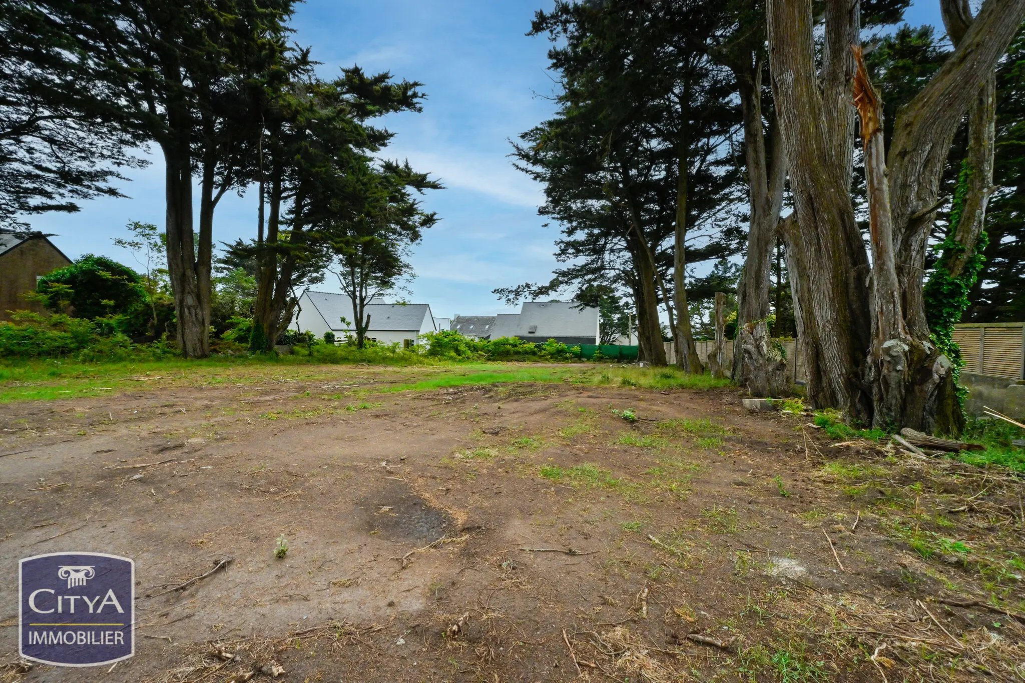 Photo 1 Terrain