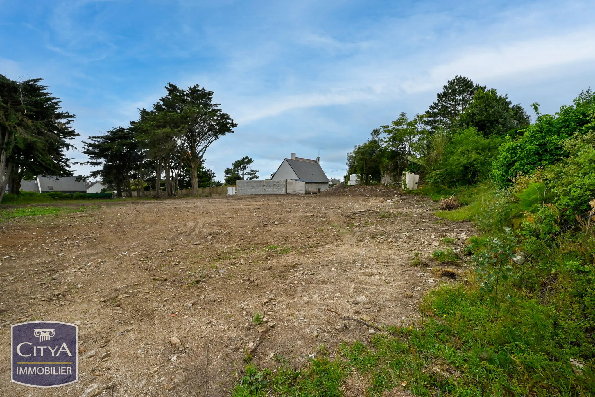 Photo 3 Terrain