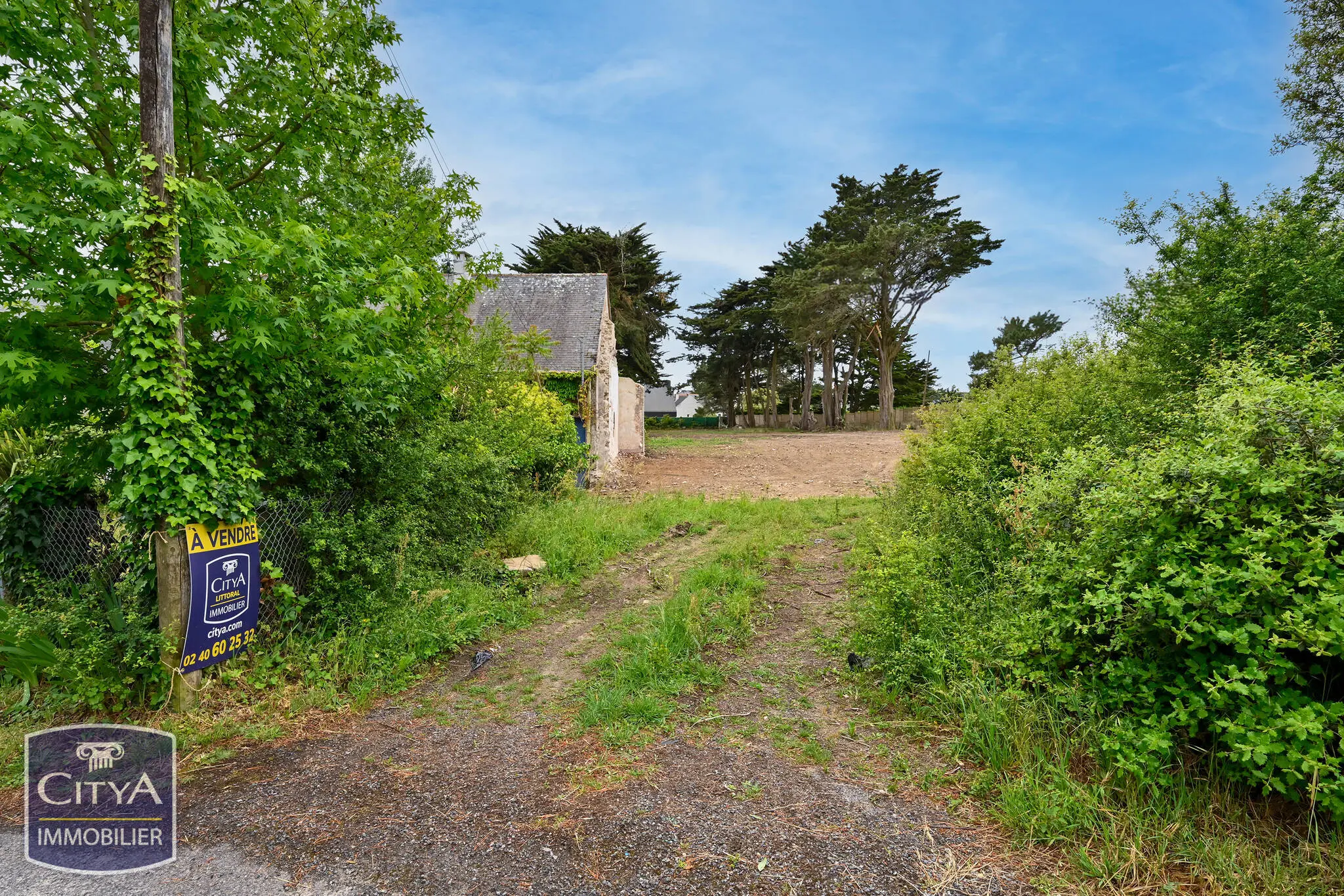 Photo 1 Terrain