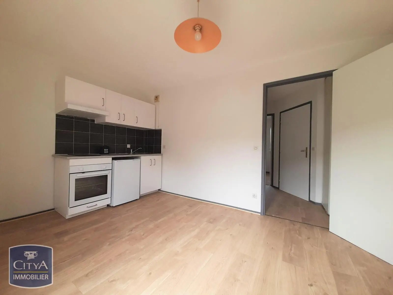 Photo 1 appartement Grenoble