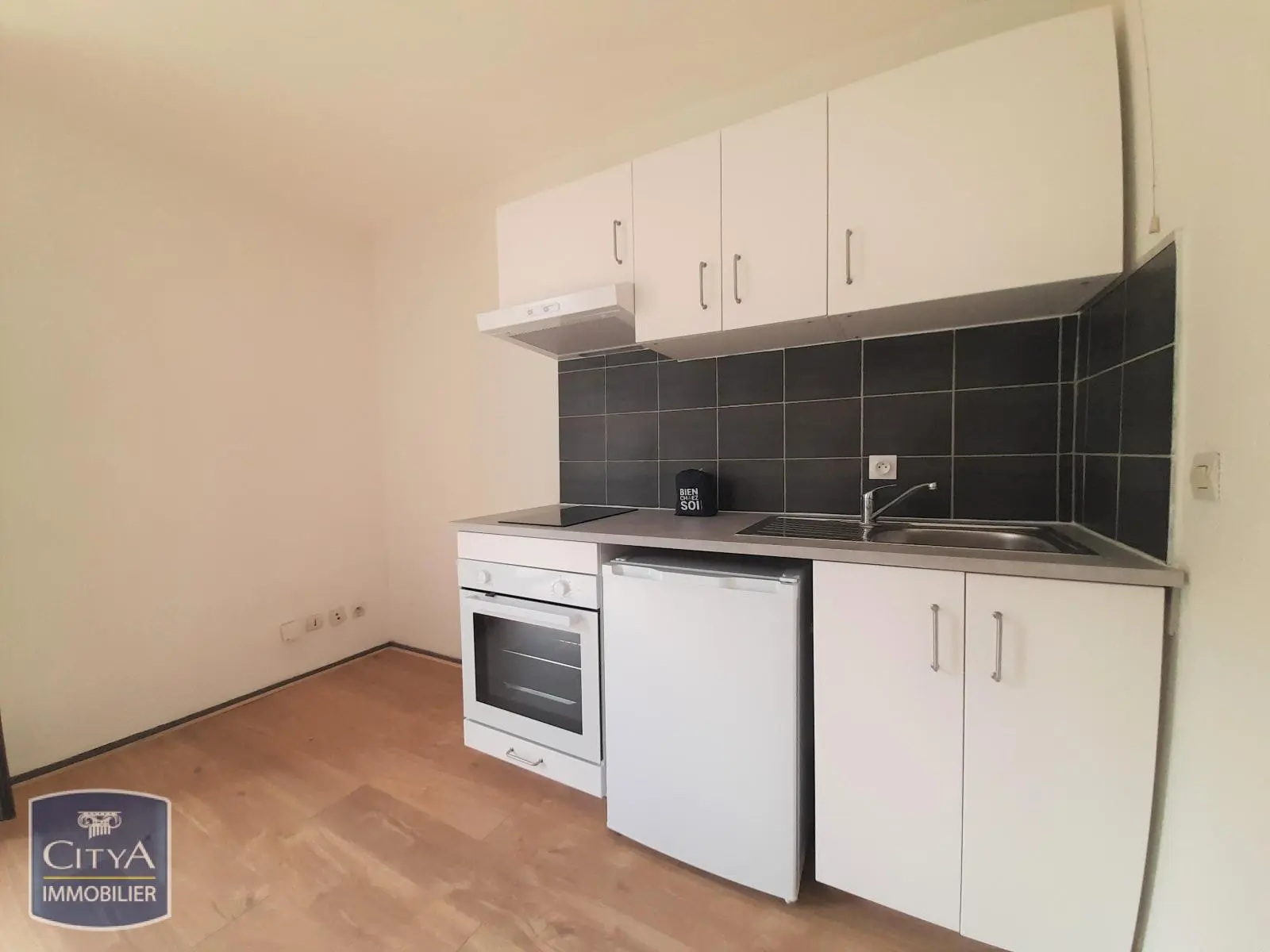 Photo 4 appartement Grenoble